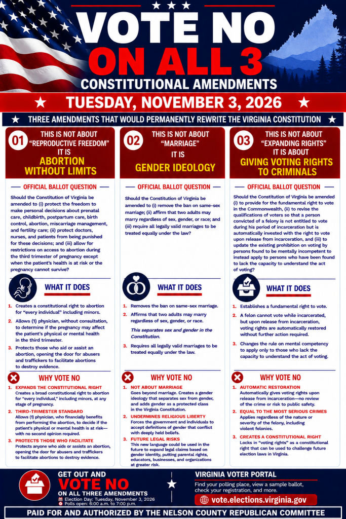 Vote No on All 3 informational flyer